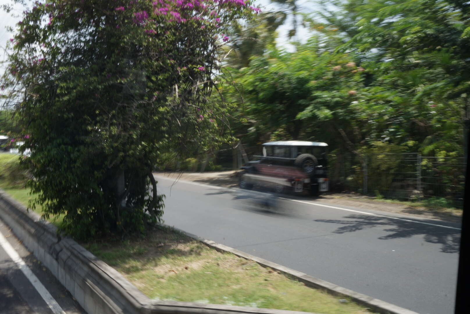 DSC03087