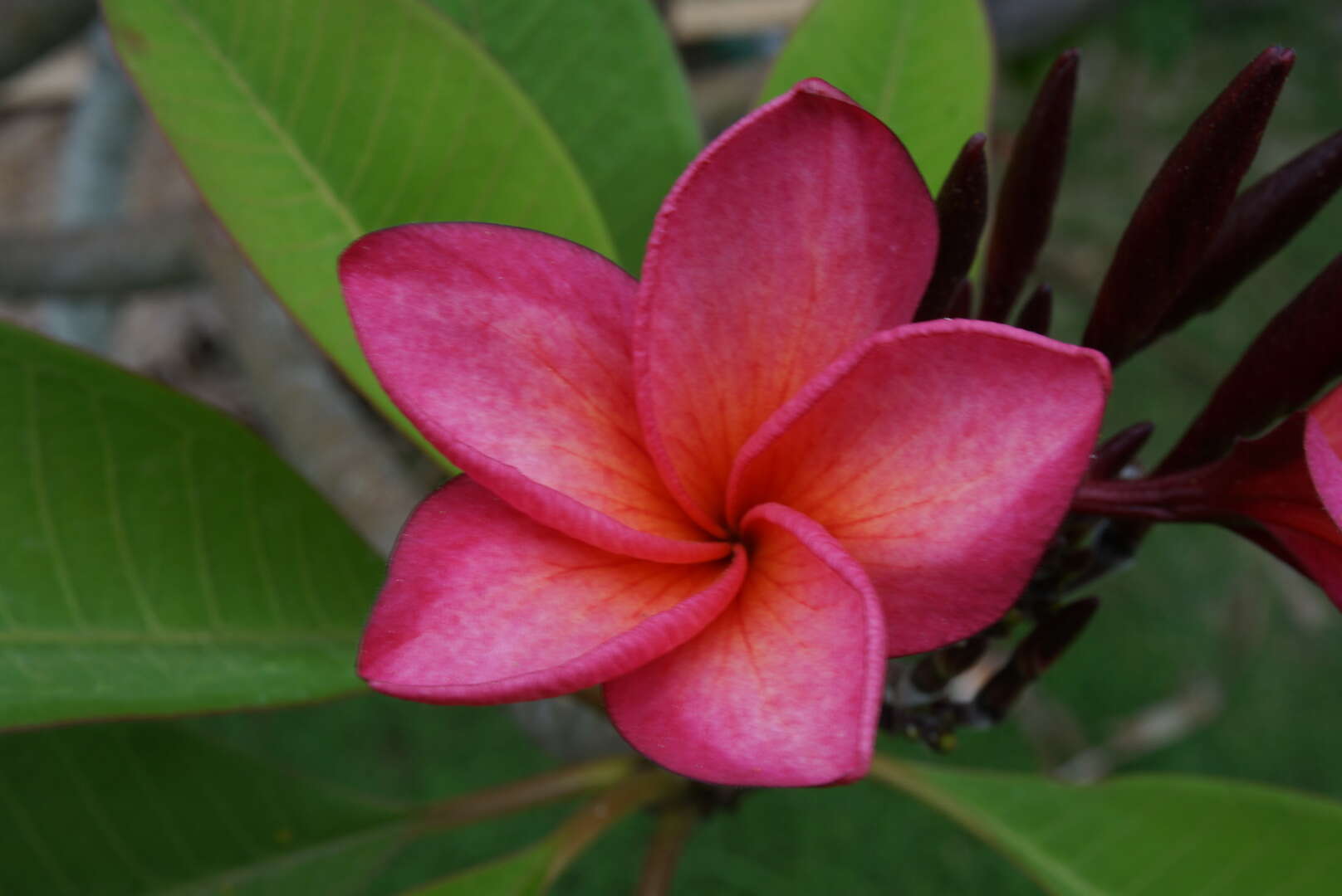 DSC03108